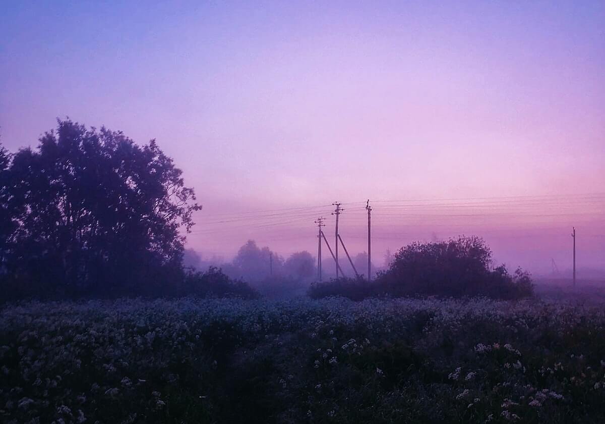 九游体育网站：畅享体育盛宴，掌握赛事最新动态